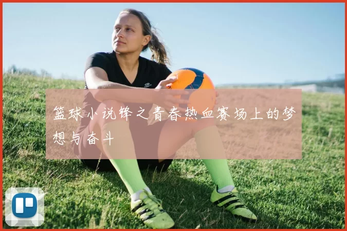 篮球小说锋之青春热血赛场上的梦想与奋斗