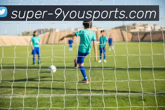 九游体育发展历程